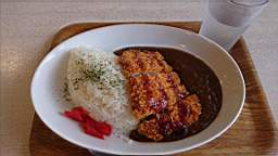 2019-11-08 11.41.01.JPG